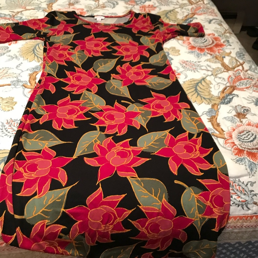 LLR Julia M